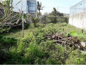 Terreno en venta en El Morro las Colonias, Boca del Río — foto 2 de 8
