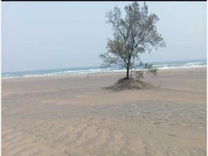 Terreno en venta en Paso de Doña Juana, Úrsulo Galván, Veracruz de Ignacio de la Llave