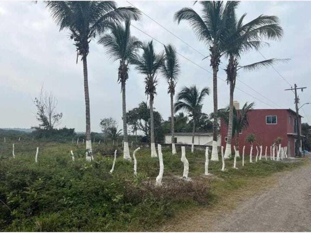 Terreno en venta en El Zapote, Alvarado — foto 1 de 9
