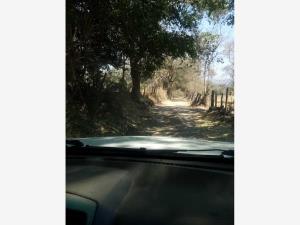 Terreno en venta en Atenquique, Tuxpan — foto 3 de 37