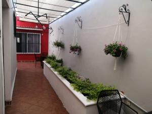 Casa en venta en Merida Centro, Mérida — foto 2 de 38