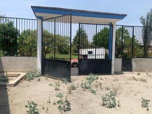 Terreno en renta en Revolucion, Atlixco — foto 2 de 7