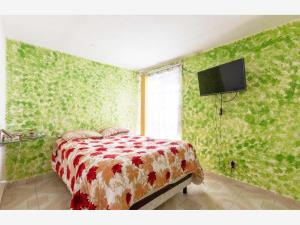 Casa en venta en San Luis Mextepec, Zinacantepec — foto 2 de 8