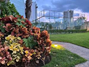 Departamento en renta en Cancún Centro, Benito Juárez — foto 3 de 29