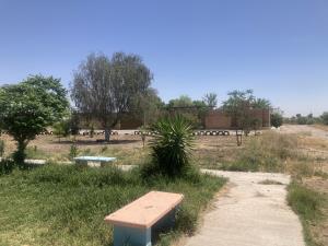 Terreno en venta en El Vergel, Gómez Palacio — foto 3 de 6