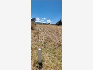 Terreno en venta en San Miguel Zinacantepec Centro, Zinacantepec — foto 2 de 10