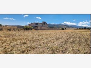 Terreno en venta en San Miguel Zinacantepec Centro, Zinacantepec — foto 3 de 10