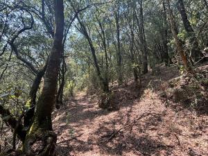 Terreno en venta en Santa Ana Jilotzingo, Jilotzingo — foto 3 de 6