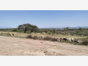 Terreno en venta en Plan Chico, Emiliano Zapata — foto 2 de 4