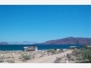 Terreno en venta en Bahía de los Ángeles, San Quintín — foto 2 de 5