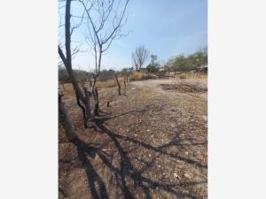 Terreno en venta en Moyotepec, Ayala — foto 2 de 6