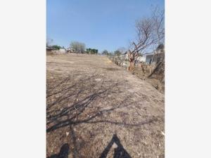Terreno en venta en Moyotepec, Ayala — foto 3 de 6