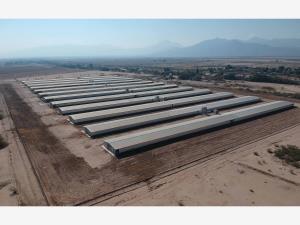 Terreno en venta en San Roque, Gómez Palacio — foto 2 de 11