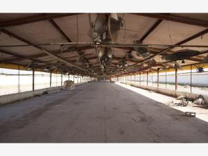 Terreno en venta en San Roque, Gómez Palacio — foto 3 de 11