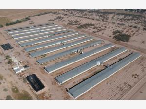 Terreno en venta en San Roque, Gómez Palacio — foto 2 de 10