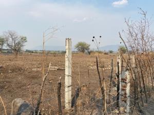 Terreno en venta en Tequesquitengo, Jojutla — foto 2 de 6