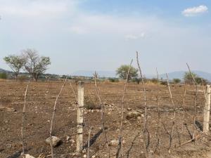 Terreno en venta en Tequesquitengo, Jojutla — foto 3 de 6