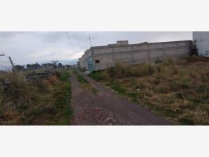 Terreno en venta en San Pedro Cholula, Ocoyoacac — foto 3 de 4
