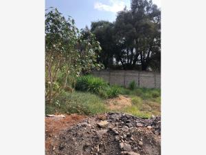 Terreno en venta en Cuernavaca Centro, Cuernavaca — foto 2 de 5