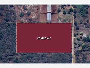 Terreno en venta en Conkal, Conkal — foto 2 de 10