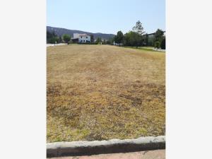 Terreno en venta en Tepetongo, Contepec — foto 2 de 12