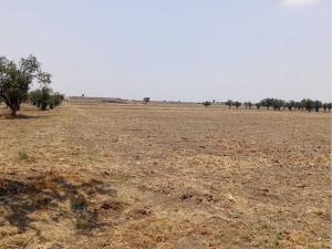 Terreno en venta en Cuanalá, Juan C. Bonilla — foto 3 de 6