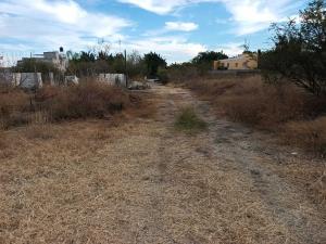 Terreno en venta en Acapatzingo, Cuernavaca — foto 2 de 11
