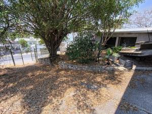 Terreno en venta en Tequesquitengo, Jojutla — foto 3 de 8