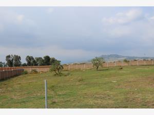 Terreno en venta en Yecapixteca, Yecapixtla — foto 2 de 6