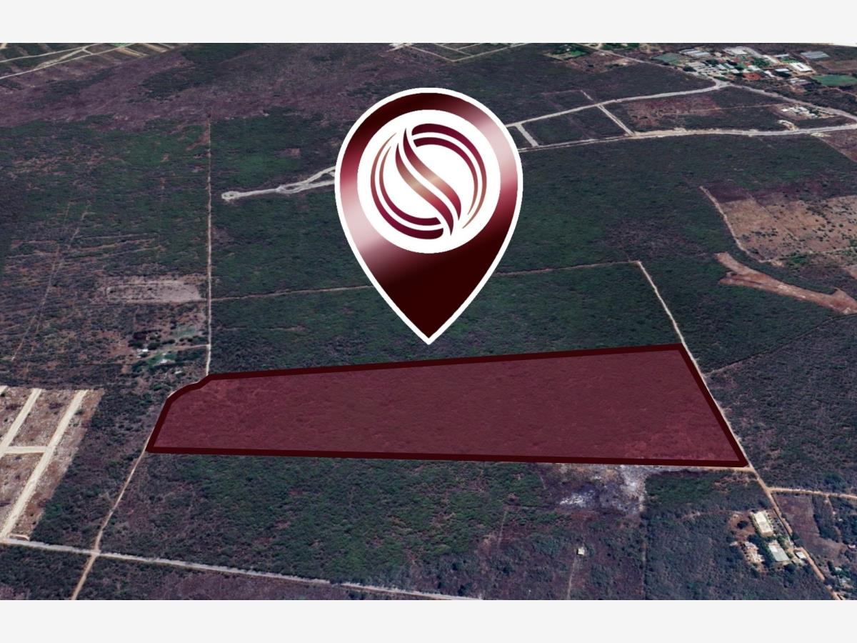 Terreno en venta en Conkal, Conkal — foto 1 de 9