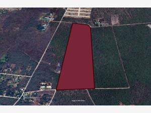 Terreno en venta en Conkal, Conkal — foto 3 de 9