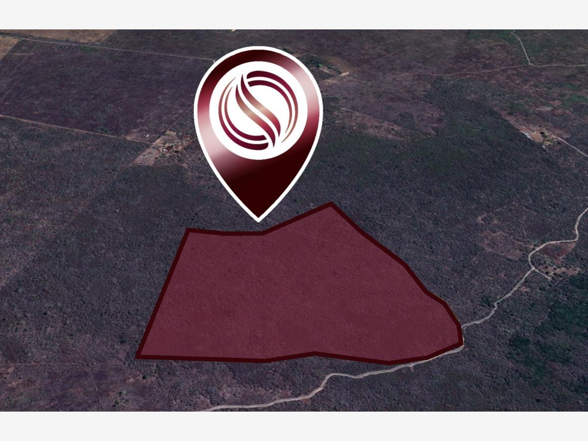 Terreno en venta en Conkal, Conkal — foto 1 de 9