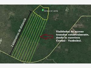 Terreno en venta en Conkal, Conkal — foto 3 de 9