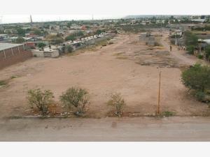 TERRENO EN RENTA EN GOMEZ PALACIO, DGO TERRENO EN RENTA EN GOMEZ PALACIO, DGO