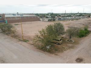 Terreno en renta en San Alberto, Gómez Palacio — foto 3 de 14