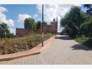 Terreno en venta en Lomas de Huizquilco, Zapotlanejo — foto 3 de 10
