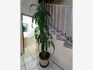 Casa en venta en Venustiano Carranza, Boca del Río — foto 2 de 11