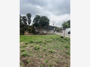 Terreno en venta en El Grande, Coatepec — foto 2 de 8