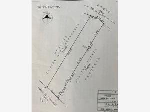 Terreno en venta en El Grande, Coatepec — foto 3 de 8