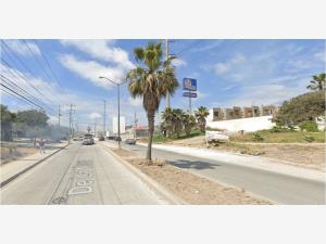 Casa en venta en La Joya, Tijuana — foto 3 de 4