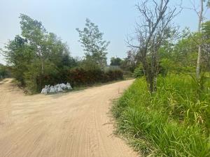 Terreno en venta en Sur 4ta. Seccion, Comalcalco — foto 3 de 3