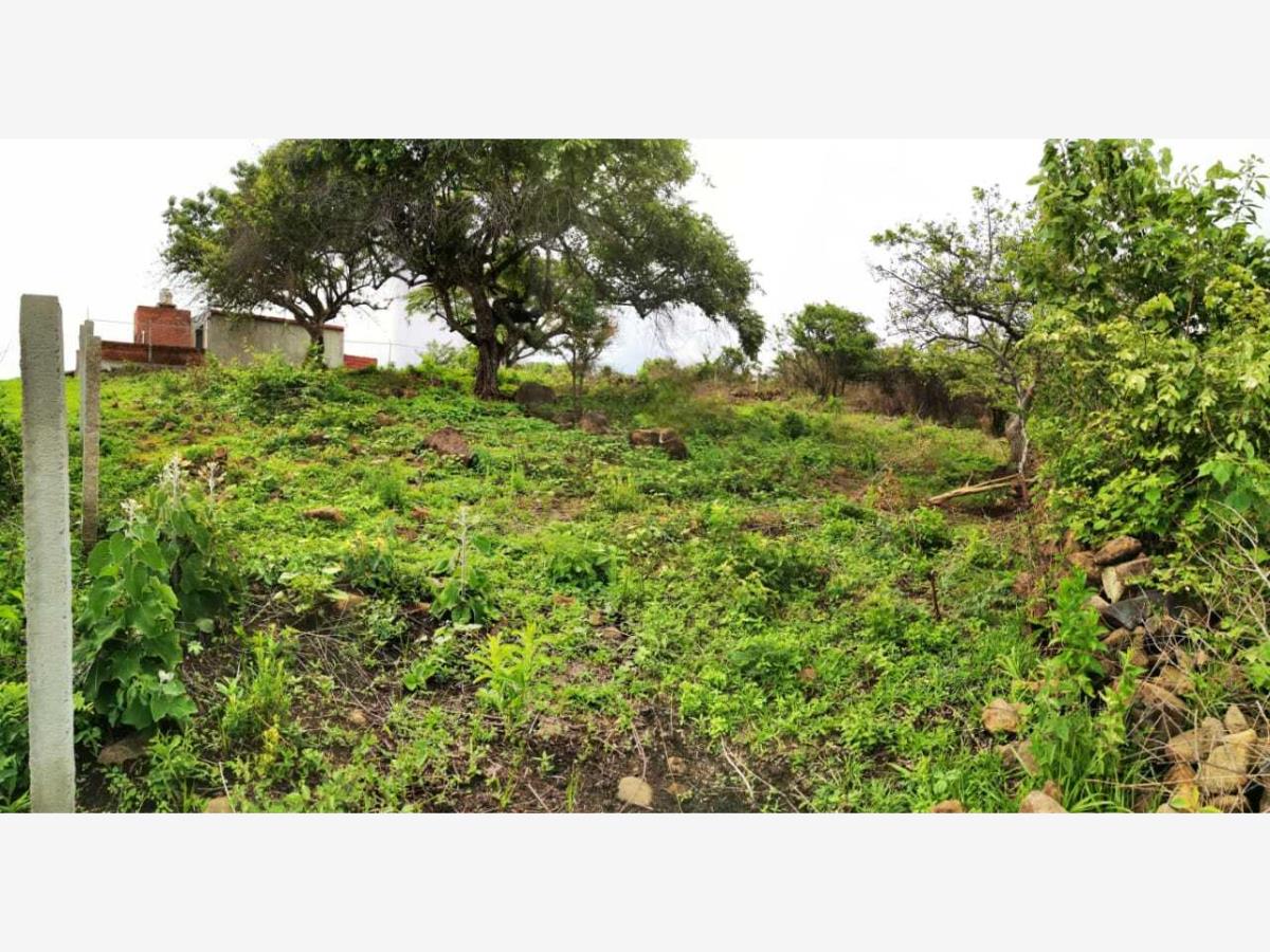 Terreno en venta en Chichco (Chisco), Tepoztlán — foto 1 de 5
