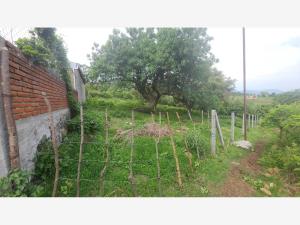 Terreno en venta en Chichco (Chisco), Tepoztlán — foto 3 de 5