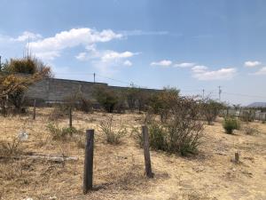 Terreno en venta en Jaripeo, Charo — foto 3 de 13