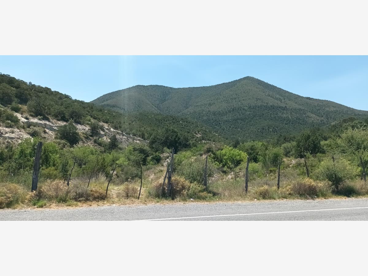 Terreno en venta en Los Lirios, Arteaga — foto 1 de 12