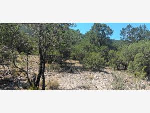 Terreno en venta en Los Lirios, Arteaga — foto 3 de 12