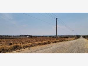 Terreno en renta en Chipilo de Francisco Javier Mina, San Gregorio Atzompa — foto 2 de 4