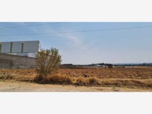 Terreno en venta en Chipilo de Francisco Javier Mina, San Gregorio Atzompa — foto 2 de 4