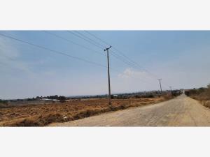 Terreno en venta en Chipilo de Francisco Javier Mina, San Gregorio Atzompa — foto 3 de 4