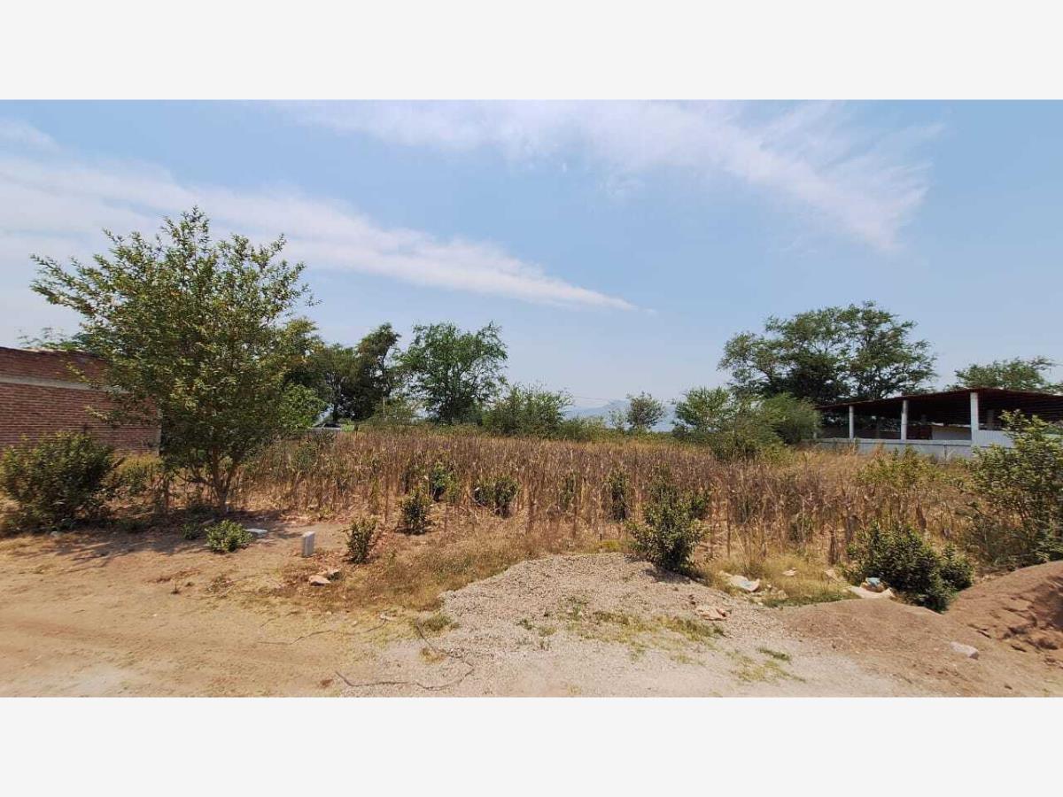 Terreno en venta en Patria, El Grullo — foto 1 de 5